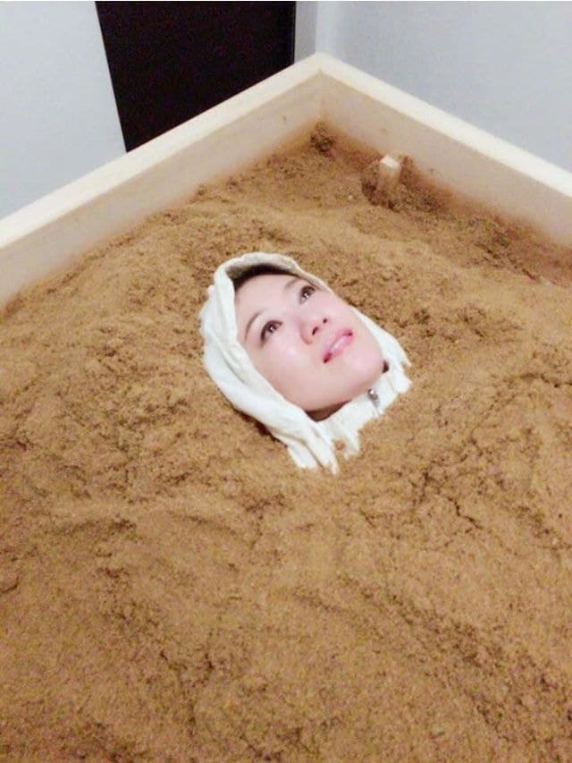 酵素風呂を知っていますか？ 酵素風呂を知っていますか?: 元気と健康を呼ぶ! | 岡崎 保 |本